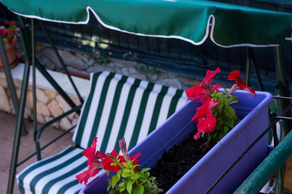 Albergue City Roma